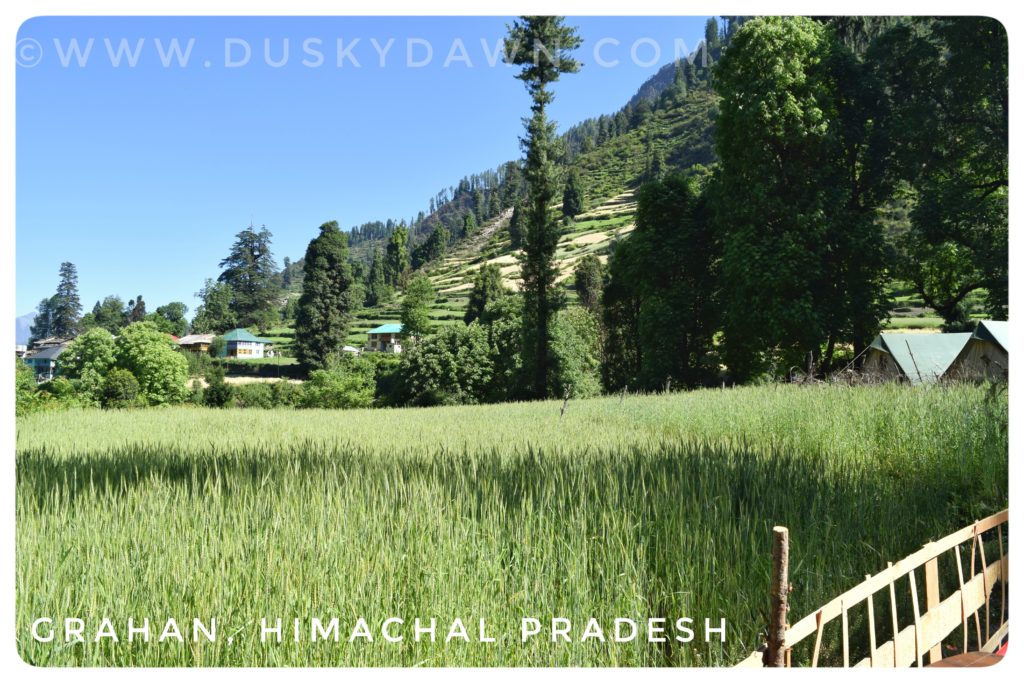 Grahan - Himachal Pradesh