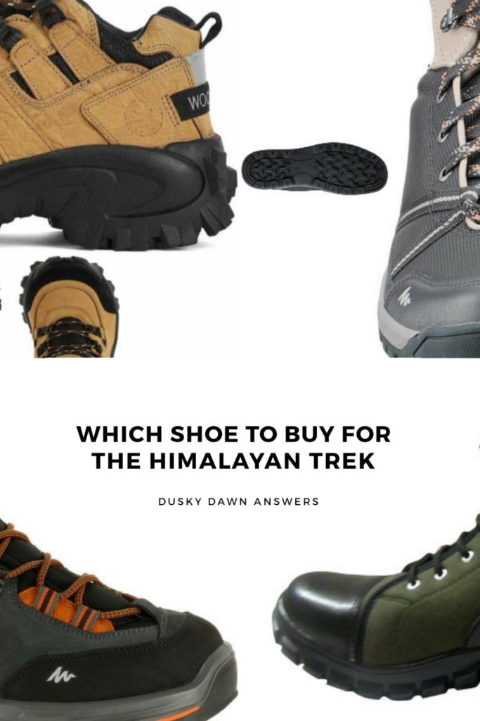 Which Shoes to Buy for the Himalayan trek? - Pinterest