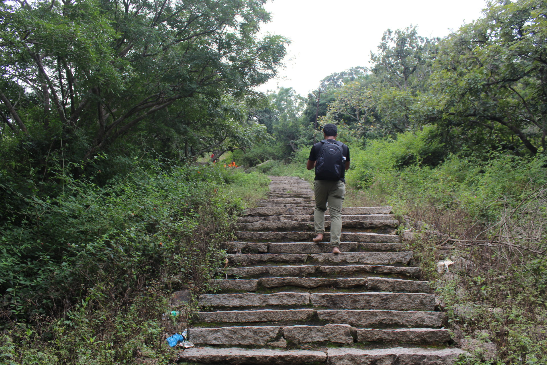 Initial Trail for Siddara Betta Trek